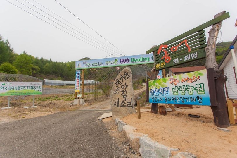 강원 태기산아침의새소리