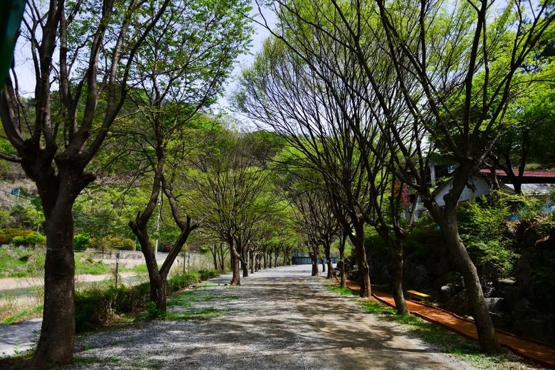 강변의숲속펜션
